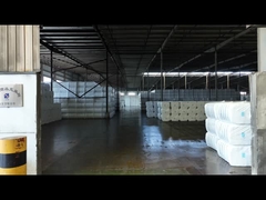 Polyester Staple Fibre