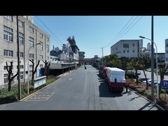 Polyester Staple Fibre